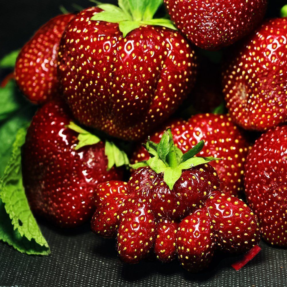 ���� ��������� ������������� ���� ���� (������ ������)   ������ ������