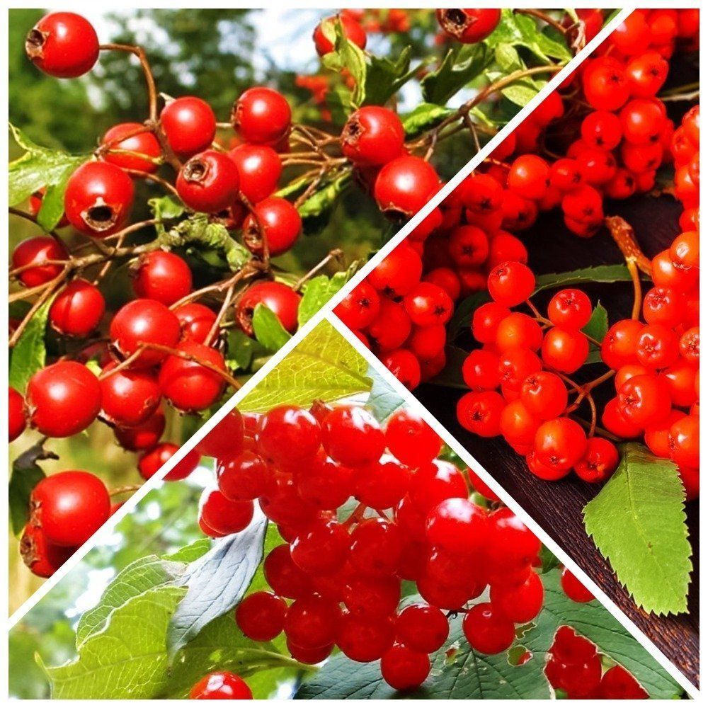 ���� �����������! �������� 