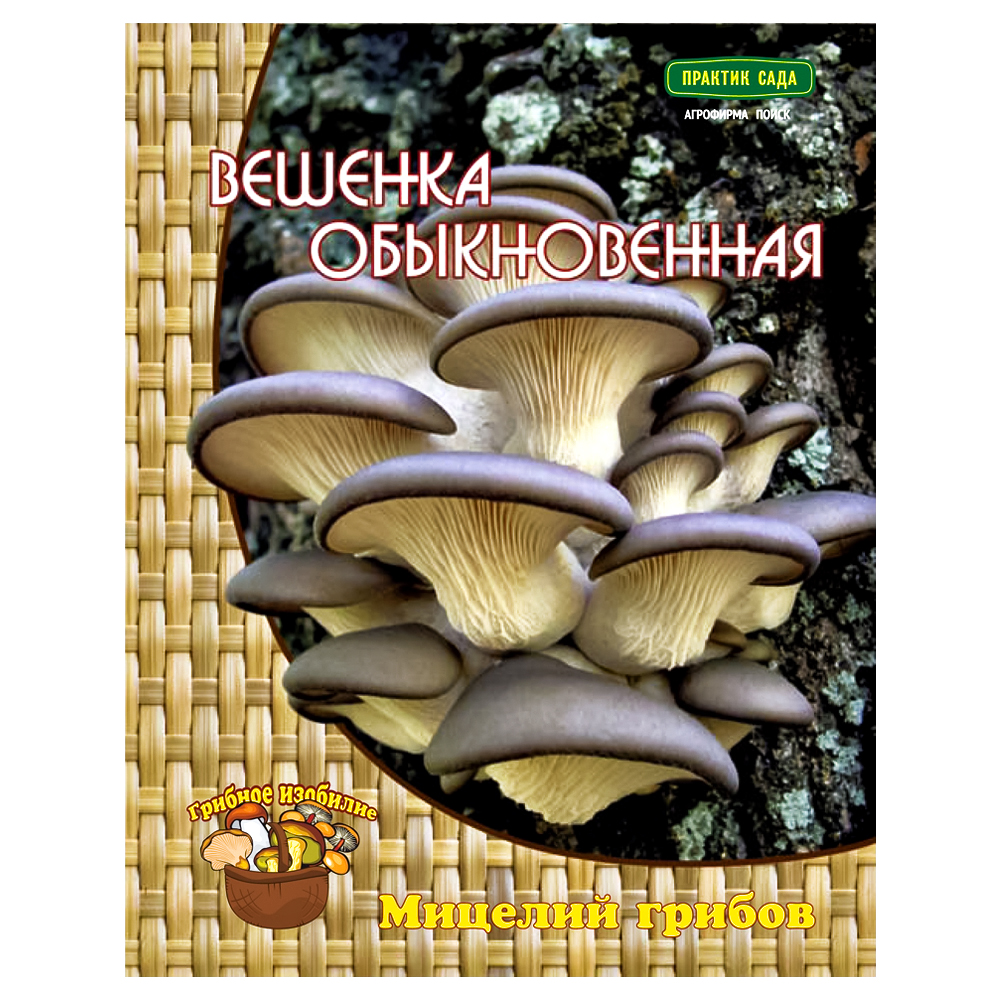���� ������� ������������ �����   ������ ������