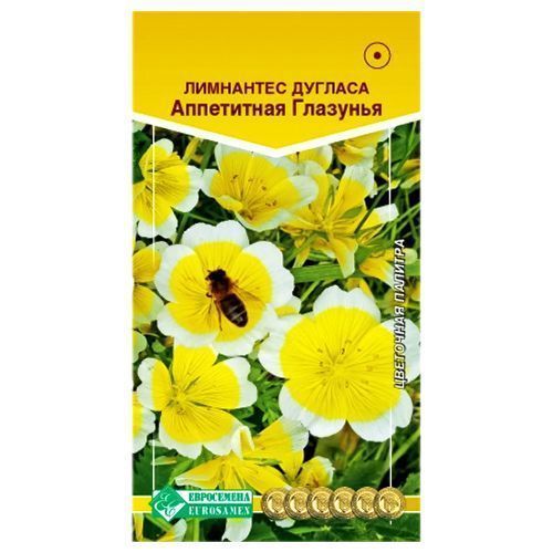 ���� ��������� ������� ���������� �������� ����������   ������ ������