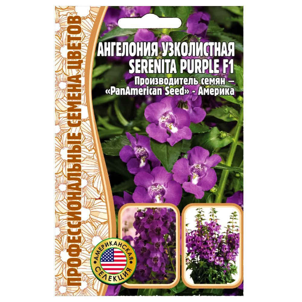    Serenita urple F1      -     , -, 