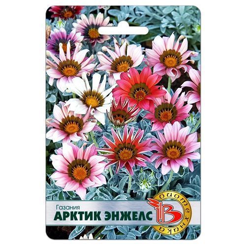 ���� ������� ������ ������, ����� ������� ����������   ������ ������