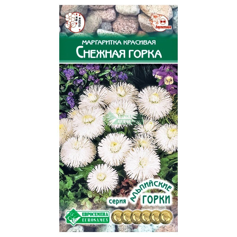 ���� ���������� ������� ����� ����������   ������ ������