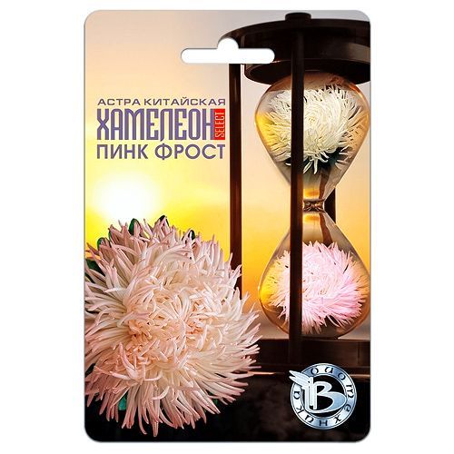 ���� ����� ��������� �������� ������ ���� ����� ����������   ������ ������