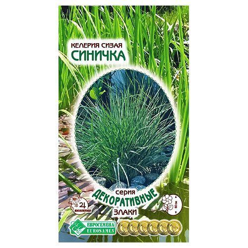 ���� ������� ����� ������� ����������   ������ ������