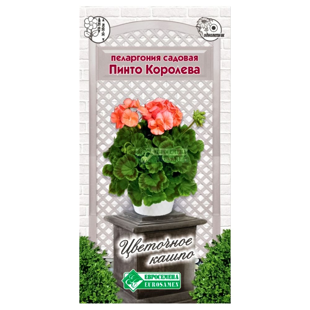 ���� ���������� (������) ������� ����� �������� ����������   ������ ������