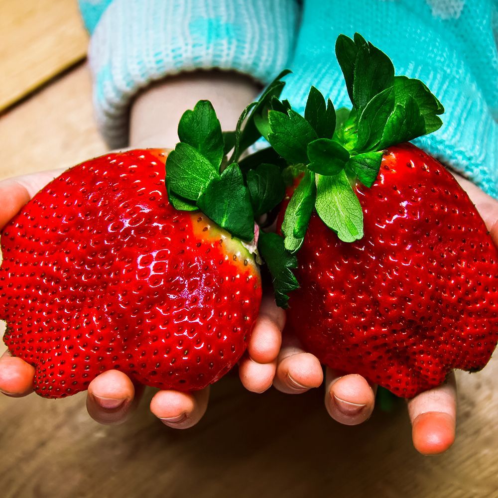 ���� ��������� ������������ (�������������) ������� �����   ������ ������