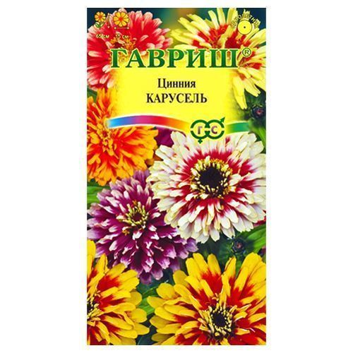 ���� ������ ��������, ����� ������� ������   ������ ������