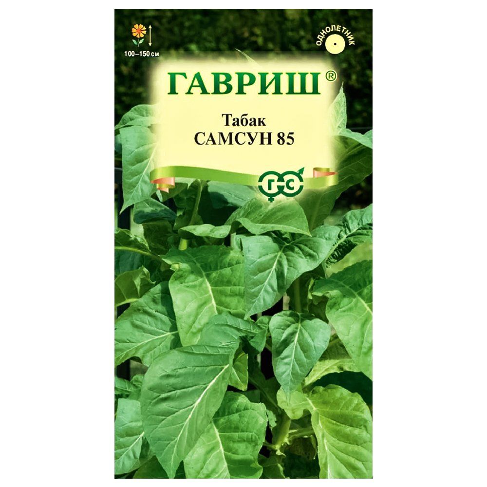 ���� ����� ����������� ������ 85 ������   ������ ������