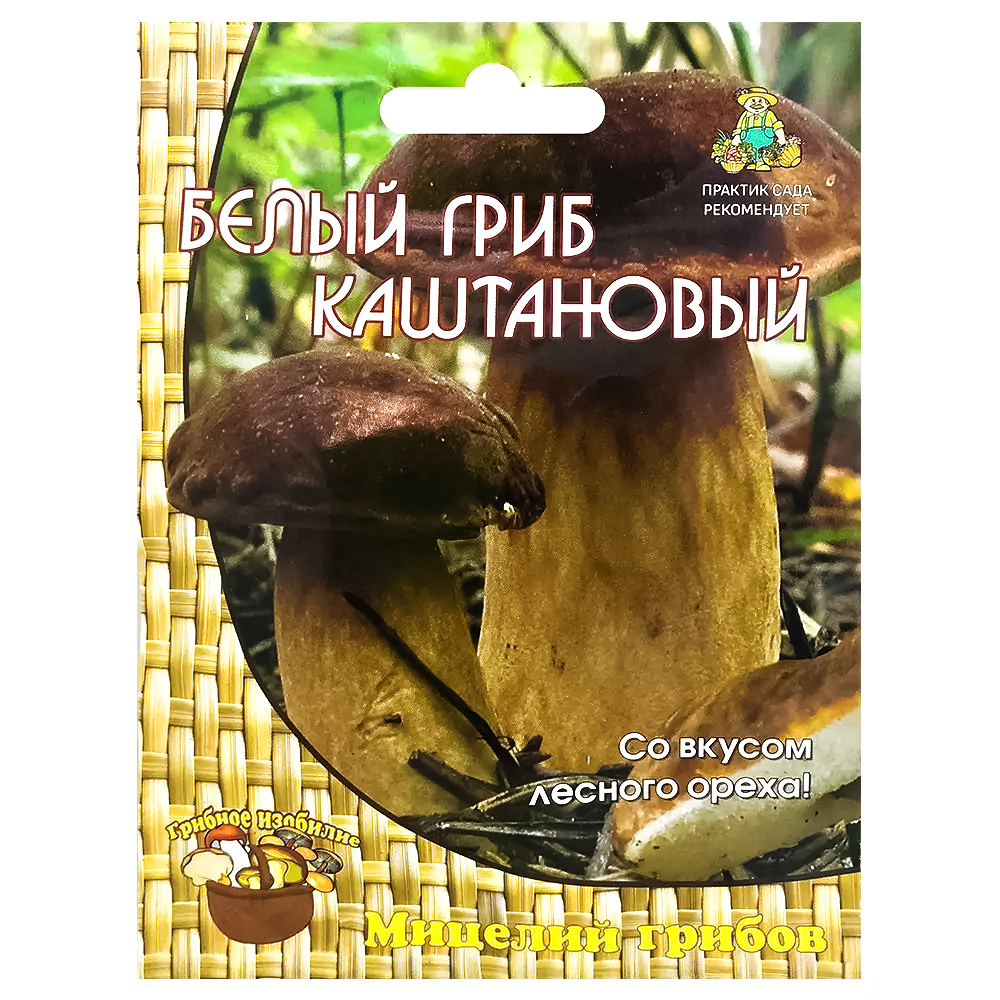 ���� ����� ���� ���������� �����   ������ ������
