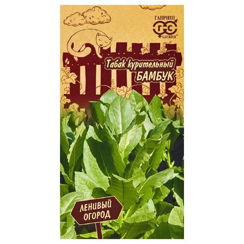 ���� ����� ����������� ������ ������   ������ ������