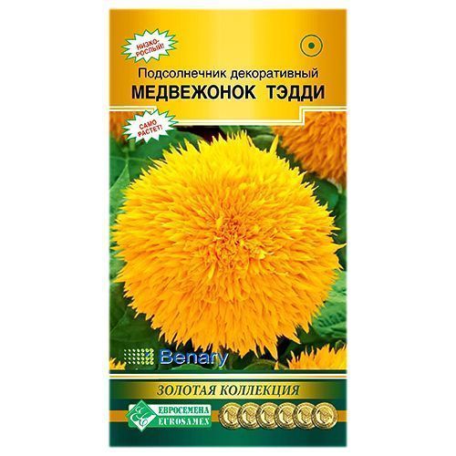 ���� ������������ ���������� ����� ����������   ������ ������