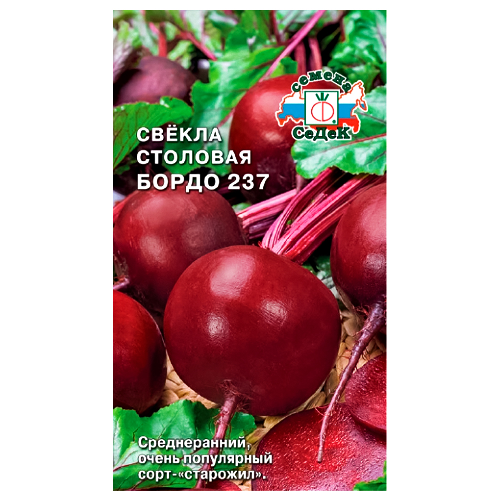 ���� ������ ����� 237 �����   ������ ������