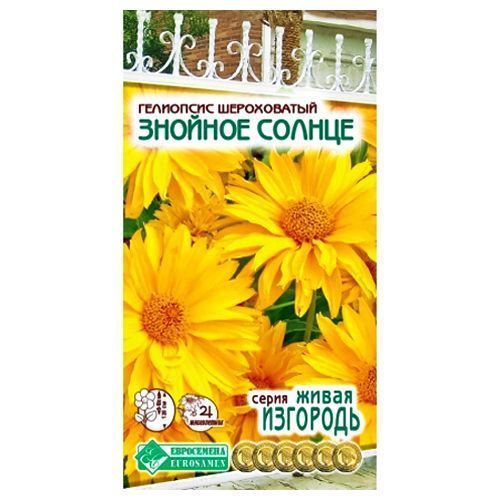 ���� ��������� ������� ������ ����������   ������ ������