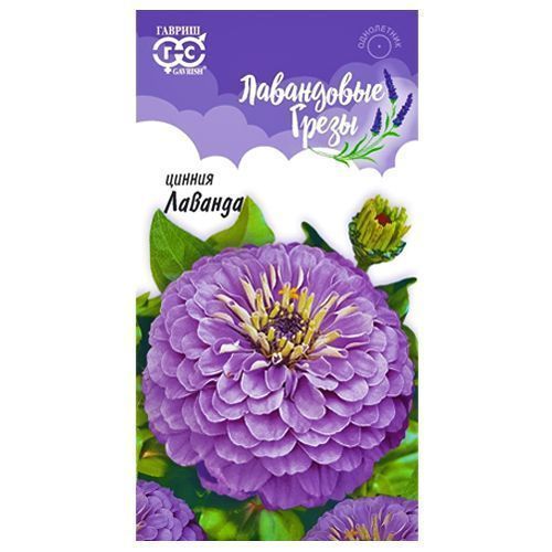 ���� ������ ������� ������   ������ ������