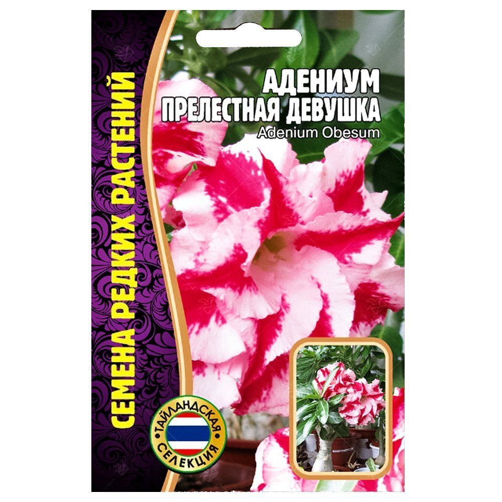 ���� ������� ���������� ������� ������ ������   ������ ������