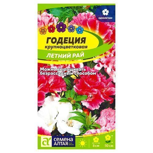 ���� ������� ������ ���, ����� ������� ������ �����   ������ ������