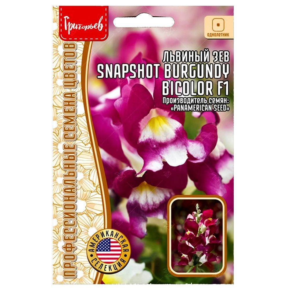 ���� ������� ��� Snapshot Burgundy Bicolor F1 ������ ������   ������ ������