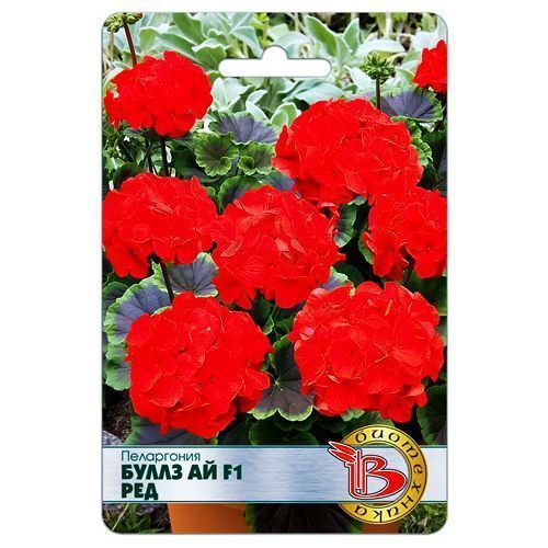 ���� ���������� (������) ����� �� F1 ��� ����������   ������ ������