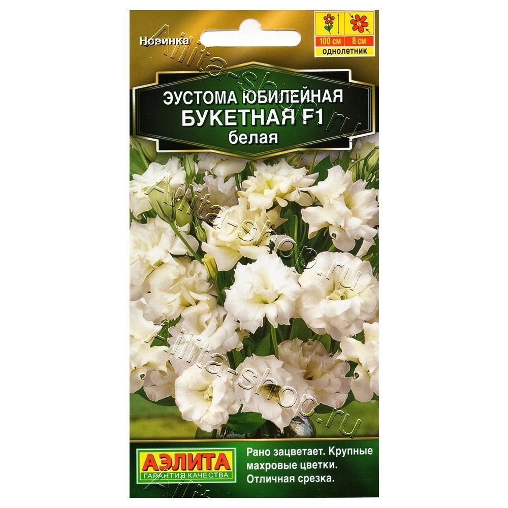 ���� ������� ��������� �������� ����� F1 ������   ������ ������