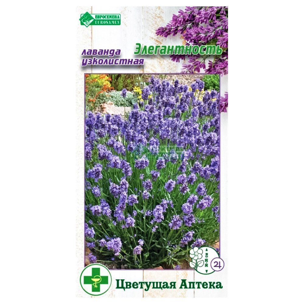 ���� ������� ����������� ������������ ����������   ������ ������