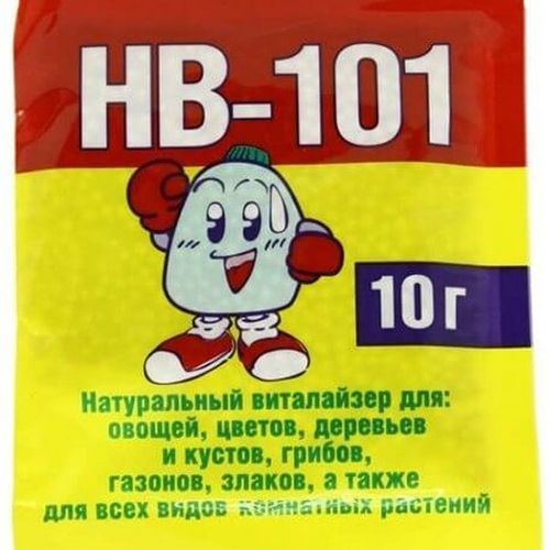 ���� ��-101, ���������� ����� 10 �   ������ ������