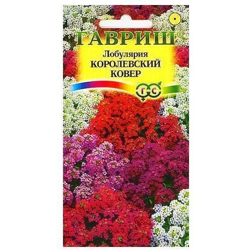 ���� ��������� ����������� �����, ����� ������� ������   ������ ������