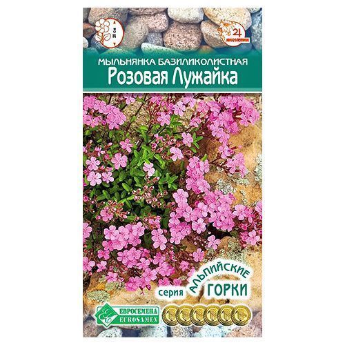 ���� ��������� ������� ������� ����������   ������ ������