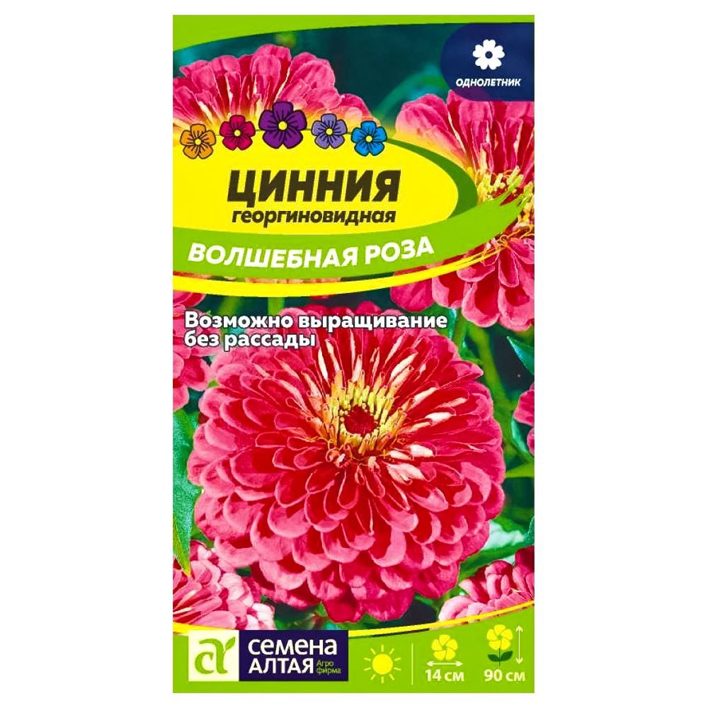 ���� ������ �������������� ��������� ���� ������ �����   ������ ������