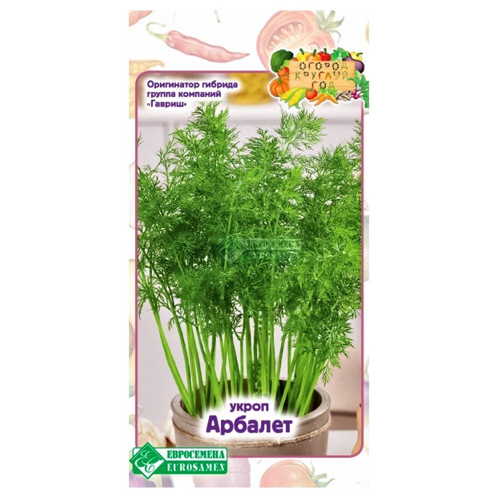 ���� ����� ������� ����������   ������ ������