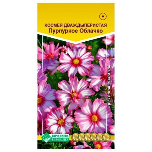 ���� ������ ��������� ������� ����������   ������ ������