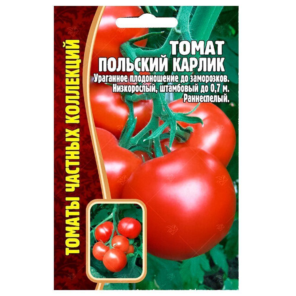 ���� ����� �������� ������ ������ ������   ������ ������