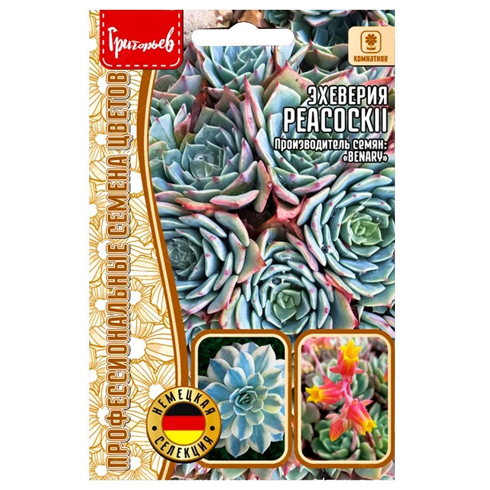 ���� �������� Peacockii ������ ������   ������ ������