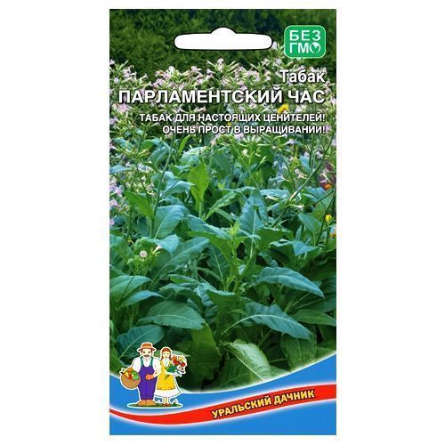 ���� ����� ����������� ������������� ��� ��������� ������   ������ ������