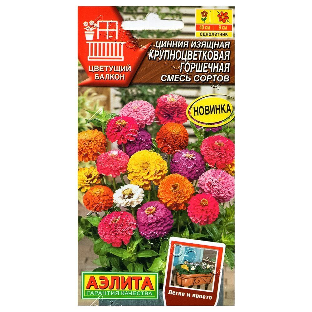 ���� ������ ��������������� ���������, ����� ������� ������   ������ ������