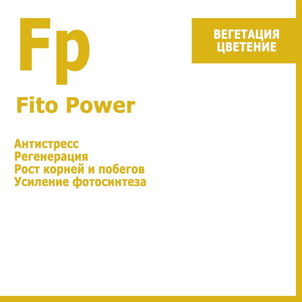  FitoPower,   10     -     , -, 