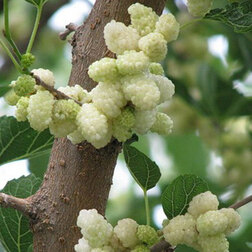 ���� ��������� �����   ������ ������