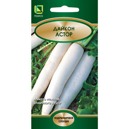 ���� ������ �����   ������ ������