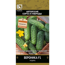 ���� ������ �������� F1   ������ ������