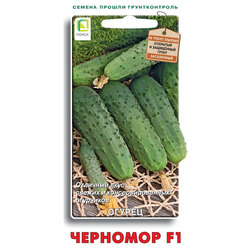 ���� ������ �������� F1   ������ ������
