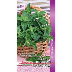 ���� ���� ������� �������   ������ ������