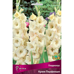 ���� ��������� ���� �������� (10��)   ������ ������