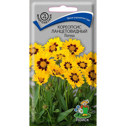���� ��������� ������������� ������   ������ ������