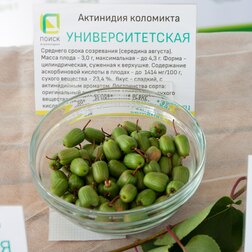 ���� ��������� ��������� ���������������   ������ ������