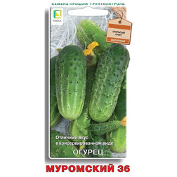 ���� ������ ��������� 36   ������ ������