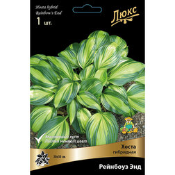 ���� ����� ��������� �������� ���   ������ ������