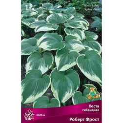 ���� ����� ��������� ������ �����   ������ ������