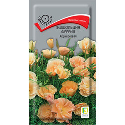 ���� ��������� ������ �����������   ������ ������