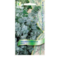 ���� �������� ���������� �����   ������ ������