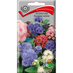 ���� �������� �������� ������   ������ ������